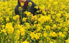 一个添下面P一个添上面P